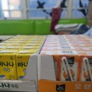 초심, 처음태권도 이미지