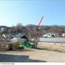 주식회사 승희 네이버블로그