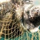 거북공인중개사사무소 이미지