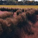 바람새마을 이미지