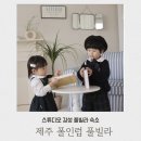 폴인럽제주 이미지