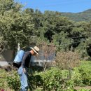 청계리농장 이미지