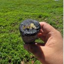 주식회사 대산 이미지