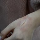 장명초등학교 이미지