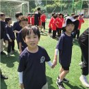 경희대도전태권도장 | 전문 지도진과 맞춤 프로그램의 만남, 우리 아이 첫 도전 역곡태권도 경희대박사 참태권도장 이야기
