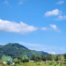 금강낚시 이미지