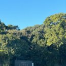 그랜드빌딩 이미지