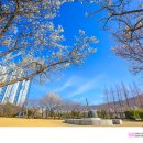 연지공원 이미지