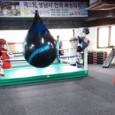 연신내복싱클럽 이미지