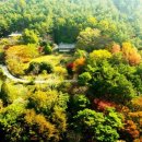 태안 천리포수목원 축제 기간 ‘비밀의 정원’ 한정 개방 이미지