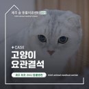 제주24시숨동물의료센터 이미지