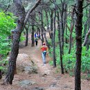 무봉산둘레길 이미지