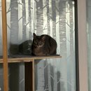 대흥한의원 | 감사함 속에서 끄적여본 그간의 작은 기록들