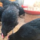 아성슈퍼 이미지