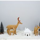 사근초등학교 이미지