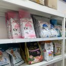 도그시티 | [파주애견용품맛집] 파주강아지간식 도그마캣 해오름마을점 24시