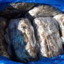 비내섬의 아침 이미지