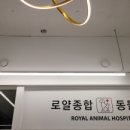로얄종합동물병원 이미지