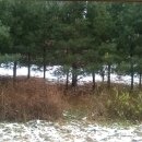 성화중학교 이미지