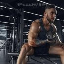 알파스포츠과학운동센터