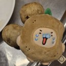 늘티 이미지