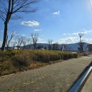 지세포항공원 | 멋진 다리를 건너면서 거제 바다를 볼 수 있는 [거제 지세포항 수변공원] 강아지 산책로