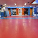 하남국술원합기도 이미지