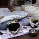 말도민박 이미지