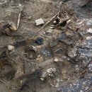 백제가공 이미지