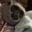 운정와이즈병원 이미지