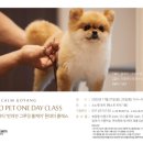 소노펫 뷰티 이미지