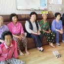 남수라경로당 Daum카페