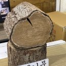 엄나무삼계탕 | 여수 몸보신 삼계탕맛집 명성참옻닭 엄나무삼계탕 후기