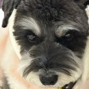 만남 Stay 이미지