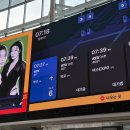 WR(부산광역시 해운대구)-[수영강변대로]-상-32 | [공지] 국제스트리밍페스티벌 ‘난홍’ The First Frost GV 후기