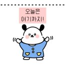 솔푸른향기애견 이미지