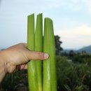 우현농장 이미지