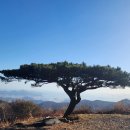 백두대간 종주 5차 모임안내(3월 3일 불모산) 이미지