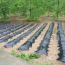 놀골농장 이미지