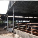 사천(순천) 이미지