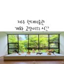 개와고양이 | 제주 현대 미술관 개와 고양이의 시간 제주 아이와 실내 가볼만한 곳
