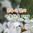 쌍향수길 이미지