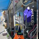 헬로샌디치 이미지