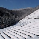 다원밥상 이미지