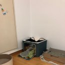 24시OK동물병원 이미지