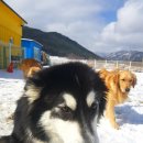 (개인)장기호 이미지