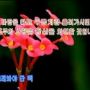 31. 사진 새 입자 만들기 - 인생이란 (이애란 ) 이미지