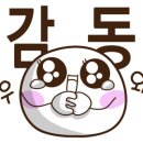대천회센타 이미지