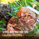 홍천 맛집 나능이능이버섯백숙 홍천 백숙 전문점