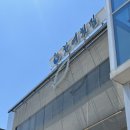 포토이즘컬러드포항영일대점 | 포항 영일대 물회 '환여횟집' 재방문 후기(포장, 택배정보)